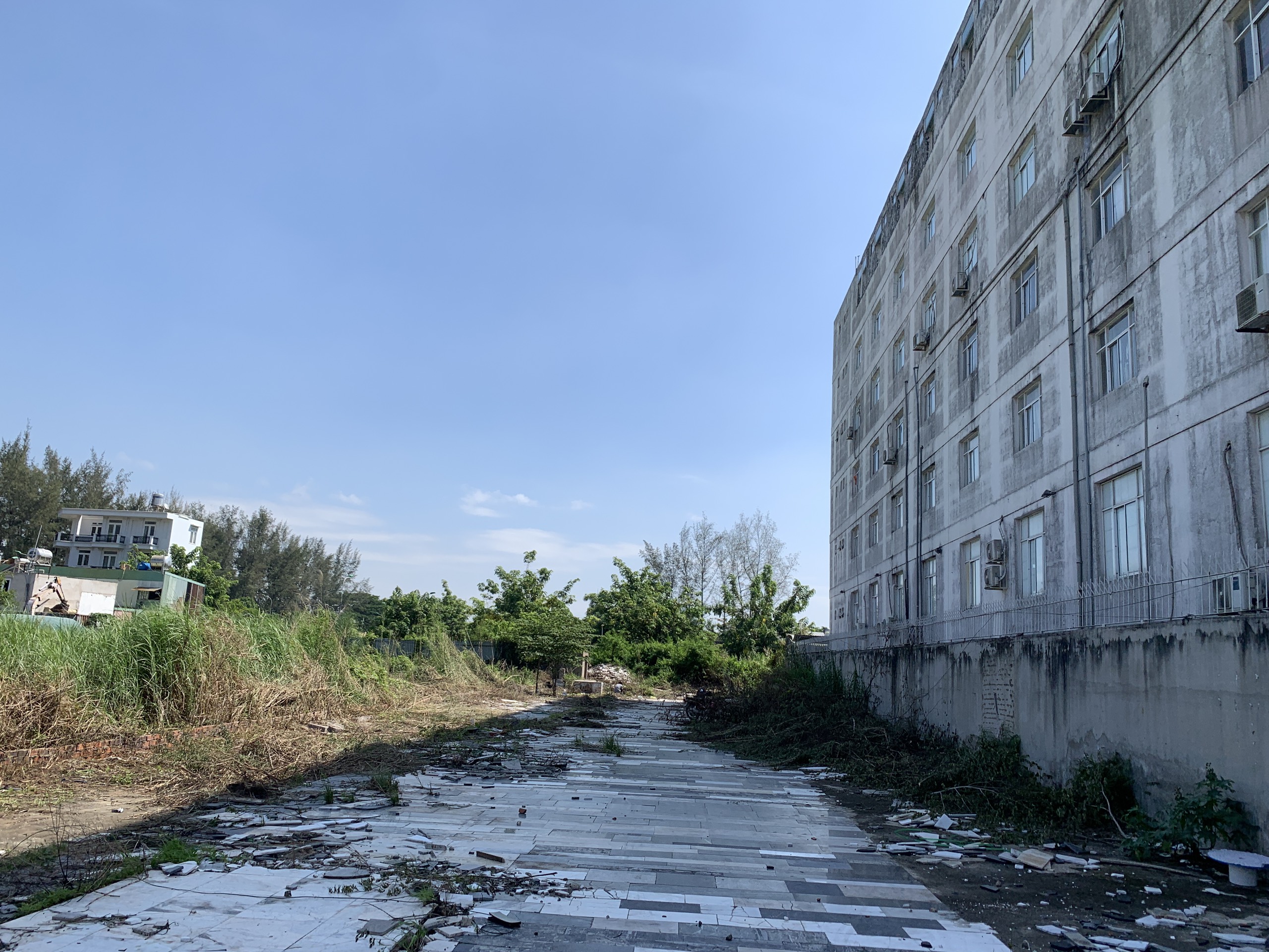 z5535209599594_918eec89a28d9b5577902e27017bcfb9