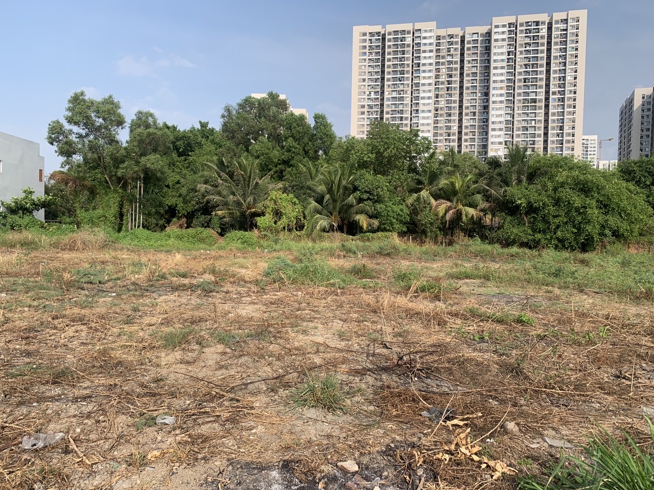 z6099237352483_903d6f7429eccc0c7c0772e37b20b5be