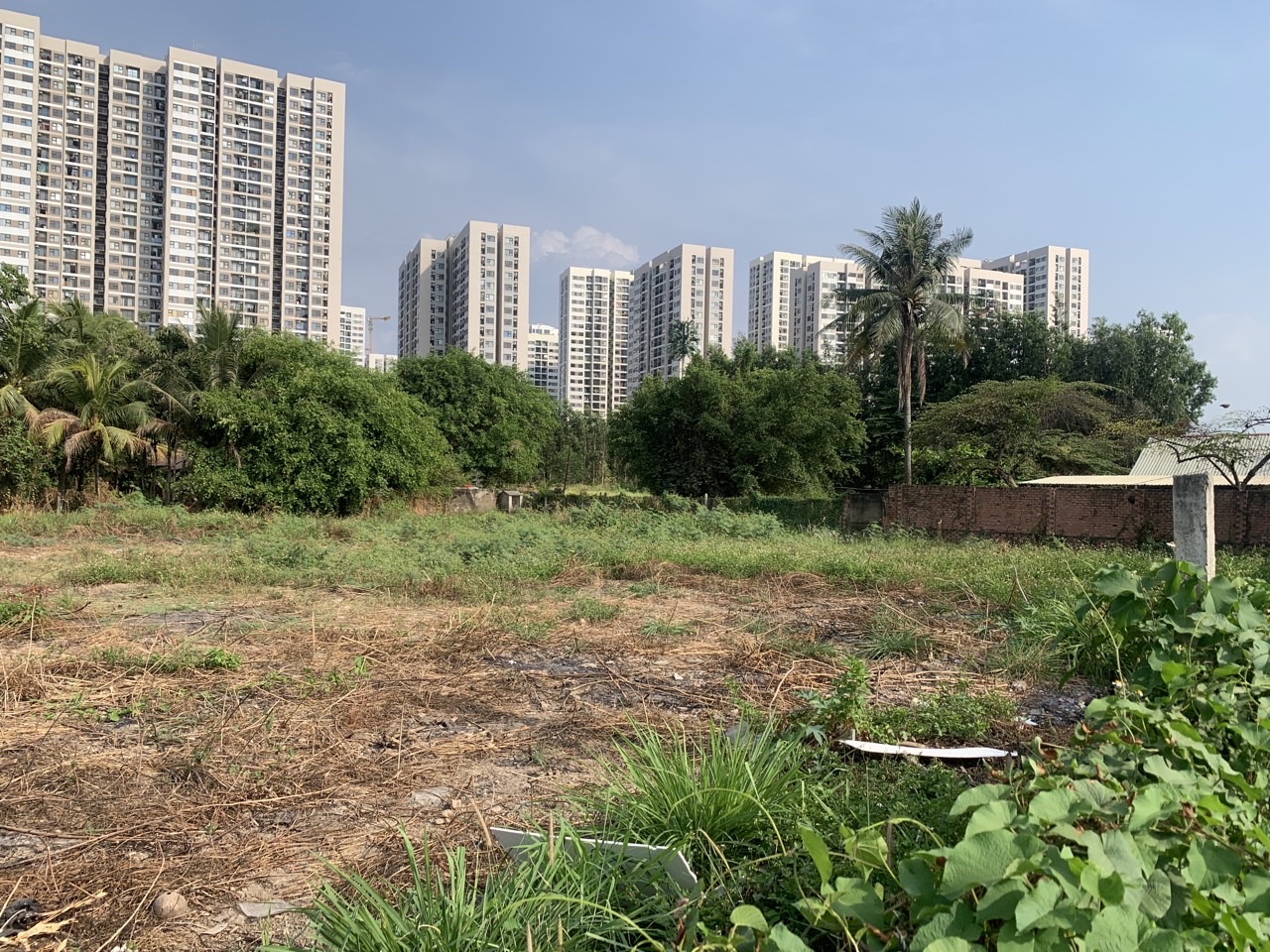 z6099237352567_9d756c7f1438b4bb6f68f51de251ac69