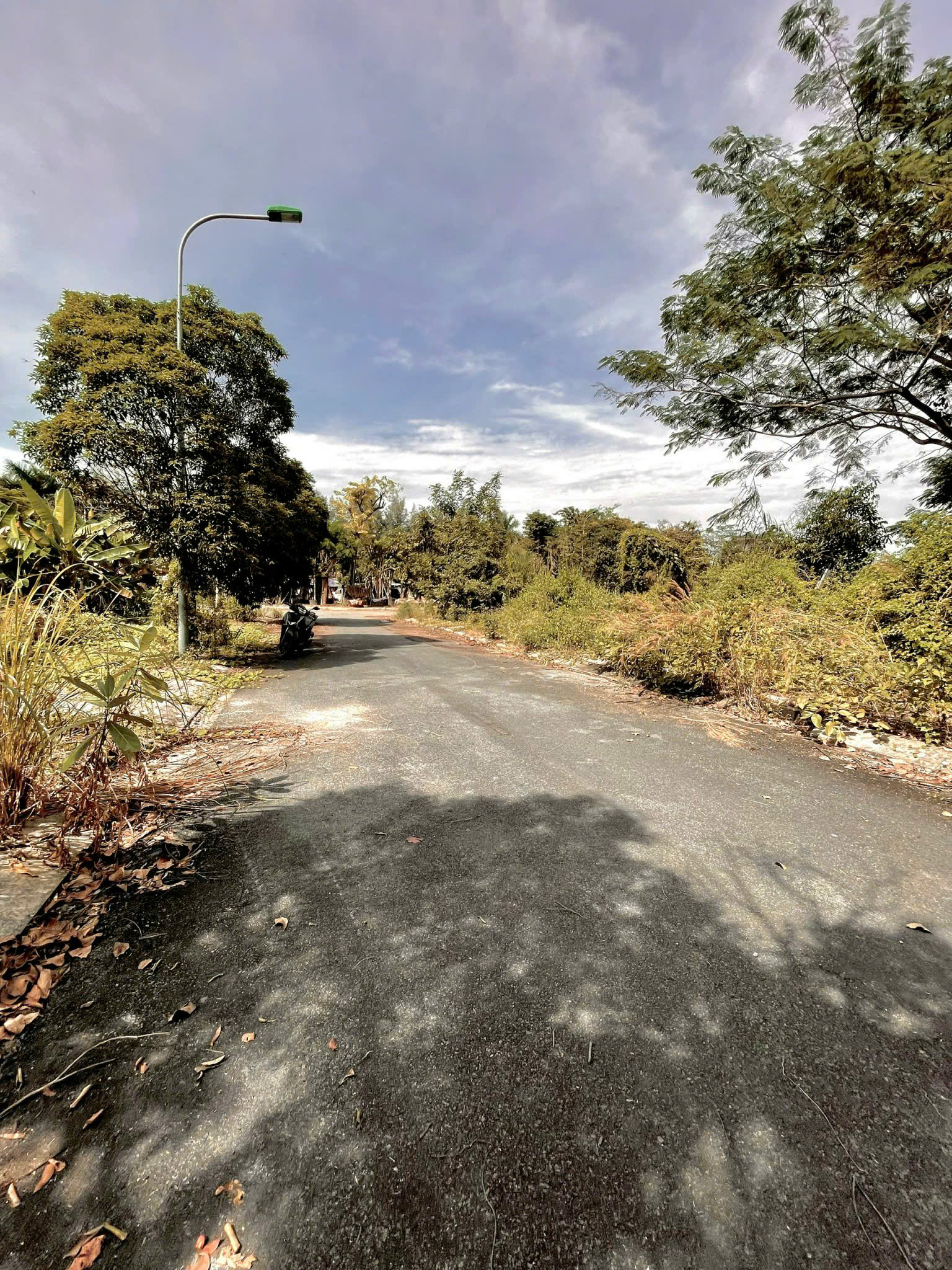 z6362928801741_72efc76f3e85224f761e5824c2e4156a