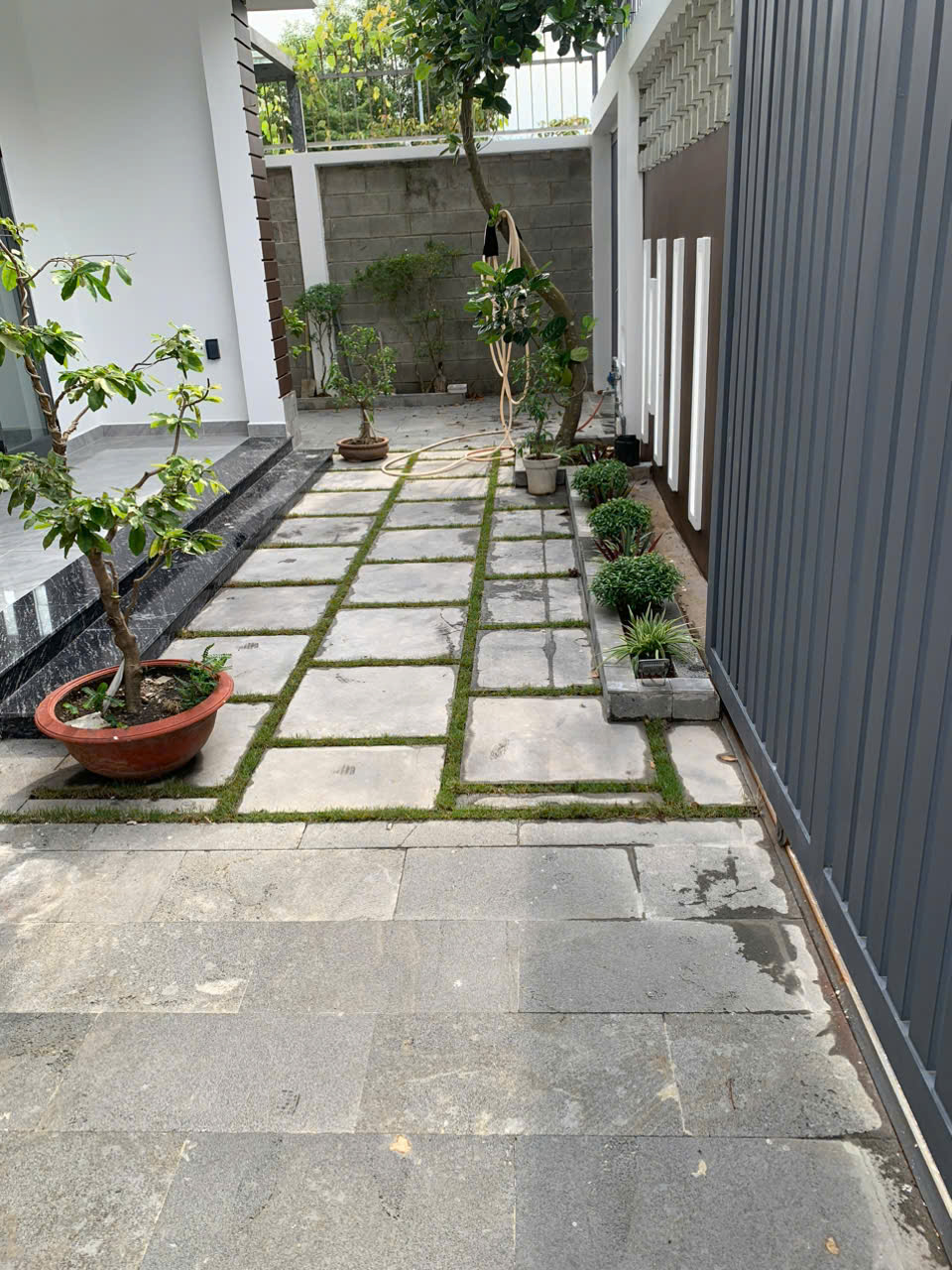 z6434746975534_87553d2b02d461f73d20673dce05b45f